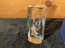 3D Laser Etched Paperweight Native American With Cactus And Flying Birds  Glass picture