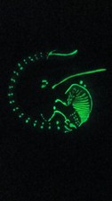 Alien Xenomorph Glow in Dark Wall Art – Handmade Resin on Red Oak Horror Decor picture