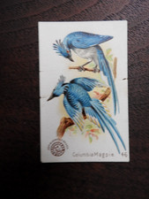 1898 Arm & Hammer NEW SERIES BEAUTIFUL BIRDS Trade Card #46 COLUMBIA MAGPIE picture
