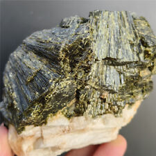 558g Natural rough Green Kyanite Crystal Mineral Spray cluster From Brazil  F66 picture
