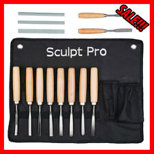 Wood Carving Set Hand Chisel Set 12 Piece Professional Woodworking Gouges Kit picture