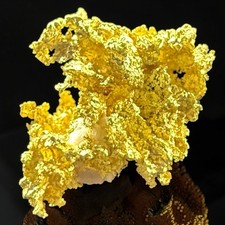 .350 GRAMS BADGER MINE CRYSTALLIZED GOLD QUARTZ SPECIMEN RARE #GQ350 picture