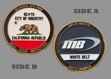 Martin Brower DC70 California Safety Champion Challenge Coin  1#28 picture