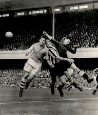LG922 1954 Wire Photo RUGBY PLAYERS COLLIDE WITH REFEREE Classic Sports Bloopers picture