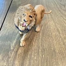 Lion picture