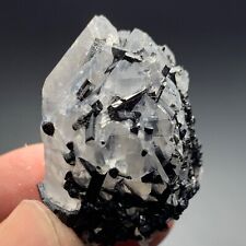 115 Cts Beautiful blackTourmaline Crystal Bunch with quartz from Afghanistan picture