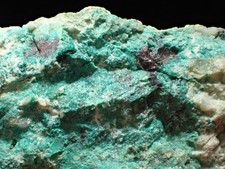 Rare Malachite & Cuprite replacing Nat. Copper Continental Mine Butte Montana picture