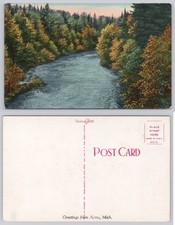 Vintage Tichnor Gloss Postcard Acme Michigan Scenic River Forest Fall Colors picture