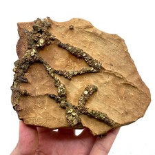 712 Grams Natural Iridescent Pyrite Specimen on Limonite Matrix Pakistan mineral picture