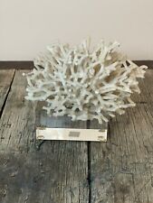 Birdnest Ivory Colored Coral Reef On Acrylic Base Decor Nautical Sea Ocean  picture