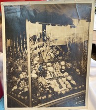 Vintage 1937 Produce Store Window Display Photograph Hodges Studio picture