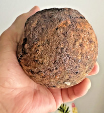 8 Pound Cannonball Off The Atocha Galleon given to me  By Famous Mell Fisher picture