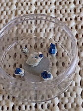 Rare Boleite Blue Cube Crystals (5 Piece Set) – Amelia Mine, Santa Rosalia Mexi picture