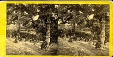 134 Illinois Infantry Under Trees - Civil War Stereoview Card picture