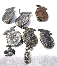 Vintage FFA Future Farmers of America Pin Lot of 6 Vice President Advisor Charms picture