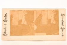 1890s Standard Series Stereoview Photo Amateur Photography Camera Girl & Dog V28 picture