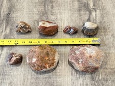 Lake Superior Agates With Quartz - 7 Rock Collection - 1050g - Banded Eyes picture