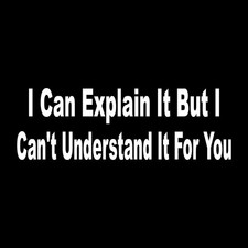 I Can Explain It But I Can't Understand For You Funny Decal Sticker White Vinyl picture