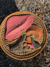Hoda Mushroom Wall Art MCM Vintage Groovy Retro 1970s 70s Hippie Mushie picture