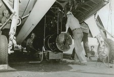 WW II - USA -Photo -- Mk 10 Mines  Loaded On To TBF Avengers   picture