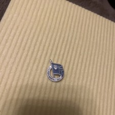 1967 FDJ Freie Deutsche Jugend East Germany Youth Parliament DDR Pin Badge picture