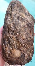 Perfectly Preserved Rough Natural Petrified Burl Wood 4.18lbs picture