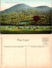 Mount Birdseye Castleton Vermont Postcard picture