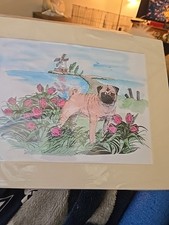Pug Dog Print 11x14 picture