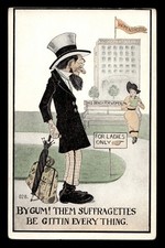 1913 Bygum Them Suffragettes Be Gittin Every Thing Anti-Suffrage Postcard picture