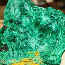 325g Dendritic Fibrous Green Malachite Gemstone Crystal Lustrous Rough Specimen picture