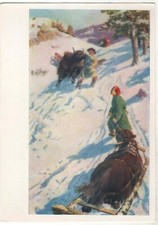 1959 MONGOLIA In the mountains Yaki Mongolian Ethnic Russian Postcard Old picture
