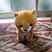 Mameshiba #d4fe6e picture