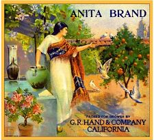 Riverside Anita Spanish Girl Birds Orange Citrus Fruit Crate Label Art Print picture