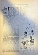 1896 Third Pacific Coast Horse Show Horse Breeding illustrated picture