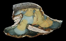 Beautiful Blue Mountain Jasper Specimen Old Stock Polished from KOP's collection picture