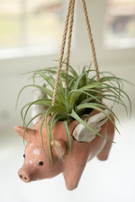 Ceramic Hanging Flying Pig Planter Beautiful Addition To Your Home Decor picture