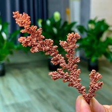 17G Rare iridescent Native Copper crystal mineral specimen natural picture
