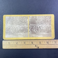 Civil War G.A.R. Veterans Camp Stereoview Casco Bay Maine 1870s Albumen picture