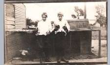 FARM BOYS BABY CHICKS c1910 real photo postcard rppc poultry breeding chicken picture