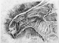 Aliens: Queen Alien - 11x14 Original Art by Gabe McIntosh w/COA - NOT a Print picture