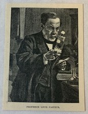1895 magazine engraving ~ PROFESSOR LOUIS PASTEUR picture