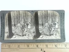 Sugar Maple Orchard Stereoview Keystone View Co. 1905 Ohio Agriculture Rural picture