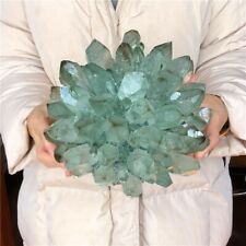 11.5lb Rare Clear Green Quartz Crystal Cluster Specimen Good Luck Stone #G8 picture