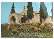 Vintage Les Belles Images de Provence Postcard Sheep at Chapelle Saint-Sixte picture