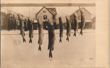 RPPC Honesdale PA Attributed T M Holland Fish Catch Fishing AZO Photo Postcard picture