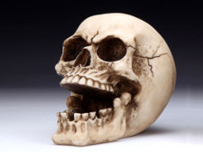 Skull Ashtray Figurine Statue Skeleton Halloween picture
