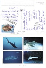 756889 Maldives Maldives Meer Asia Oceania picture