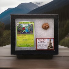 Roserade Pokémon Card With Authentic Desert Rose Fossil (Baryte) In Display Box picture