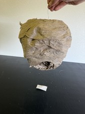 Gorgeous Bald Faced Hornets Nest Medium made In Upstate New York #6 picture
