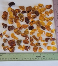 KCGS Bulk Natural Polished Raw Baltic Amber Stones Over 140g #0200 80+pcs picture